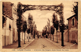 85-LUCON- L'AVENUE DES SOUPIRS TOUTE FLEURIE DE ROSES - Lucon