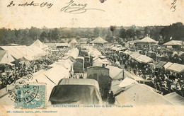 Chateaubriant * 1905 * La Grande Foire De Béré , Vue Générale * BERE - Châteaubriant