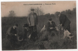 CPA Chasse Aux Furets Chasseurs Chiens Forêt De Fontainebleau - Jagd