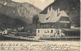 1900 - MURZSTEG , Gute Zustand, 2 Scan - Mürzzuschlag