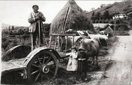 Delcampe - D64 - AU PAYS BASQUE -345- APRES L'EMPILAGE DU FOIN - Sare