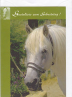 Postogram 142 D 99 - Gratuliere Zum Geburtstag ! - Pferd - Postogram