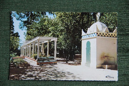 SIDI BEL ABBES - Jardin Public - Sidi-bel-Abbès