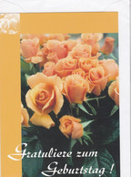 Postogram 151 D / 99 - Gratuliere Zum Geburtstag ! Pink Roses - Postogram