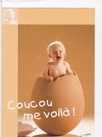 Postogram 153 F / 99 - Coucou Me Voilà ! Enfant - Oeuf - Postogram