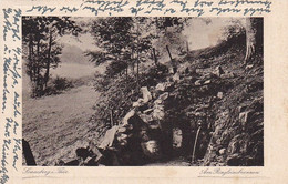 AK Sonneberg - Thüringen - Am Ringleinsbrunnen  - 1930 (55757) - Sonneberg