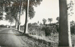 CPSM FRANCE 40 "Castets Des Landes, La Route D'Uza". - Castets