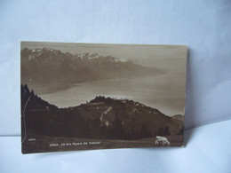 2243. CAUX ET LE ALPES DE SAVOIE SUISSE VD VAUD CPA EDITION ART PERROCHET & DAVID LA CHAUX DE FONDS LAUSANNE - La Chaux