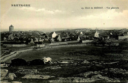 Isle De Bréhat * Vue Générale Du Village * Route * Moulin à Vent Molen - Ile De Bréhat