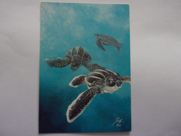 Carte Postale Tortues  Tortuga Tortoise Schildkröte Schildpad Dessin De Bruno Ghys Nausicaa Tortue 2002 - Schildpadden