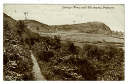 Ref 1480 - 1926 Postcard - Bishop's Wood & Hills Beyond - Prestatyn Flintshire British Industries Fair  Slogan - Flintshire