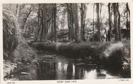 COLBY GLEN, I.O.M.. Real Photograph - Animée.  A TUCK CARD. N° I.O.M. 214 - Isle Of Man