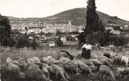 04 Manosque Vue Générale Troupeau De Moutons - Manosque