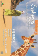 F40 Cpa  / CARTE CPM Publicitaire PUB Advertising Card Cart' Com SAHARA D'ALGERIE GIRAFE Lot  2 CPM - Girafes