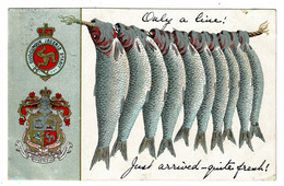 Ref 1482 - 1907 Isle Of Man Novelty Postcard - String Of Fish "Just Arrived - Quite Fresh" - Isola Di Man (dell'uomo)