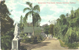 Australia:Sydney, Botanic Gardens, Scene Near Tea House, Pre 1940 - Sydney