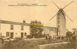 44 Frossay, Les Pins, Habitation Où Vécut L'aviateur Maneyrol, Beau Moulin à Vrnt - Frossay