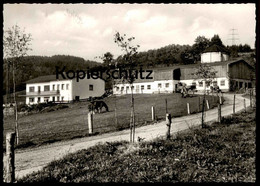 ÄLTERE POSTKARTE ATTENDORN HELDEN PENSION PULTE TRAKTOR ANHÄNGER TRECKER PFERDE Tractor Ansichtskarte AK Cpa Postcard - Attendorn