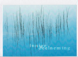 Postogram 182 N / 00 - Innige Deelneming - Water Met Riet - In Memoriam - Postogram