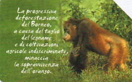 SCHEDA TELEFONICA - PHONE CARD - ITALIA - TELECOM - Jungle