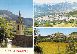 04 - SEYNE Les ALPES :   - CPSM CPM Dentelée Village (  H )  Colorisée Noir Blanc Grand Format CPA - - Autres & Non Classés
