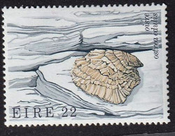 EIRE (Irlande) - Faune, Poissons, Crevette, Coquillages - Y&T N° 475-478 - MNH - 1982 - Sonstige & Ohne Zuordnung