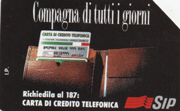 SCHEDA TELEFONICA - PHONE CARD - ITALIA - SIP - Pubbliche Tematiche