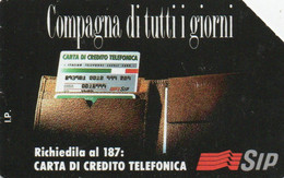 SCHEDA TELEFONICA - PHONE CARD - ITALIA - SIP - Pubbliche Tematiche