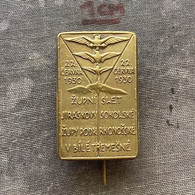 Badge Pin ZN010273 - Gymnastics Sokol Czechoslovakia Zupa Podkrkonosska Bila Tremesna 1930 - Gymnastique