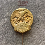 Badge Pin ZN010277 - Gymnastics Sokol Czechoslovakia Zupa Jana Zizky Trocnov Strmilov 1930 - Gymnastique