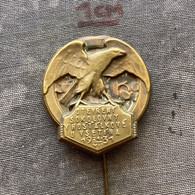 Badge Pin ZN010286 - Gymnastics Sokol Czechoslovakia Hostalkova Vsetin 1931 - Gymnastique
