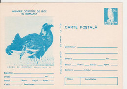 BIRD BIRDS COCK  ROMANIA STATIONERY 1977 - Cuckoos & Turacos