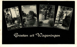 GROETEN UIT WAGENINGEN    GELDERLAND WAGENINGEN   HOLLAND HOLANDA NETHERLANDS - Wageningen