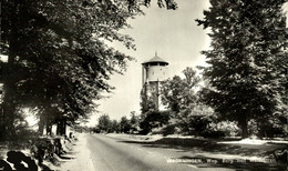 WAGENINGEN WAG BERG MET WATERTOREN GELDERLAND WAGENINGEN HOLLAND HOLANDA NETHERLANDS - Wageningen