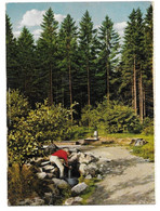 5788  WINTERBERG / HOCHSAUERLAND, RUHRQUELLE - Winterberg