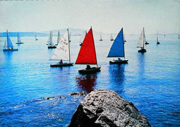 Delcampe - ► Régates (Sailing Race)  Côte D'Azur  - Ets à Bandol - Segeln