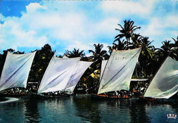 Delcampe - ► Régates (Sailing Race)  MARTINIQUE - "Course De Gommiers"  TROIS ILETS - Segeln