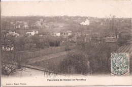 CPA - Sceaux - Panorama De Sceaux Et Fontenay - Sceaux