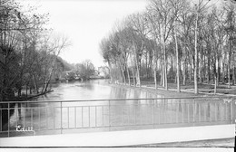 PN - 146 - LOIR ET CHER - VENDÔME - La Promenade Du Près Aux Chats - Original Unique - Plaques De Verre