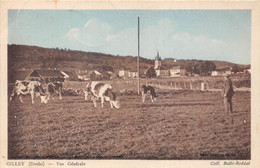 25-GILLEY- VUE GENERALE - Autres & Non Classés