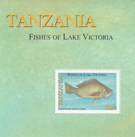 TANZANIE - BLOC N°529 ** (2005) Poissons - Tansania (1964-...)