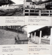 Lembeye 64 - Stabulation Elevage Brebis - Exploitation Ferme De M. Xicluna - Lot De 4 Photographies 1965 - Lembeye