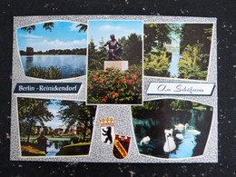 ALLEMAGNE GERMANY DEUTSCHLAND - BERLIN REINICKENDORF AM SCHAFERSEE - Reinickendorf