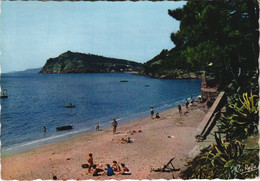 CPM LE CANADEL La Plage - Au Fond Le Cap Negre (1113646) - Rayol-Canadel-sur-Mer