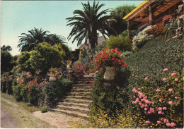 CPM LE RAYOL Escalier Fleuri (1113946) - Rayol-Canadel-sur-Mer