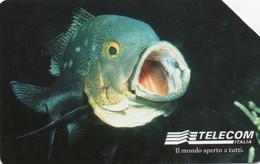 SCHEDA TELEFONICA - PHONE CARD - ITALIA - TELECOM - ANIMALI PER MODO DI DIRE - Peces