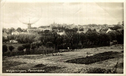 WAGENINGEN  Panorama  Gerderland  HOLLAND HOLANDA NETHERLANDS - Wageningen