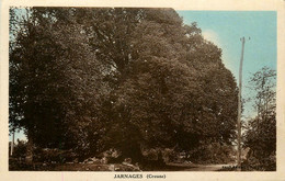 Jarnages * Route Du Village * Arbre Chêne - Otros & Sin Clasificación