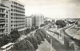 CPSM FRANCE 83 " Toulon, Avenue Maréchal Foch". - Toulon