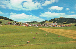 SAINTE - CROIX Et Le Cochet . - Sainte-Croix 